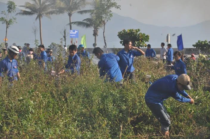  Thanh niên, học sinh, sinh viên Đà Nẵng tham gia dọn vệ sinh.