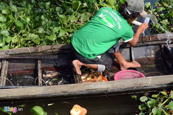 Bất lực nhìn cá chép bị chích điện khi vừa thả