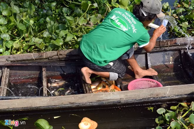 Bất lực nhìn cá chép bị chích điện khi vừa thả