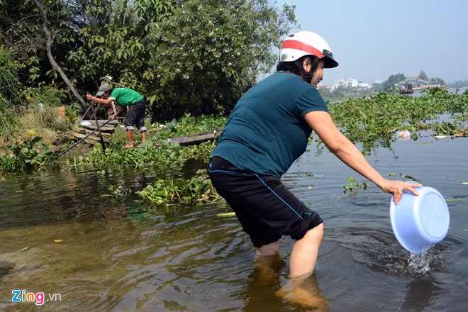 Bất lực nhìn cá chép bị chích điện khi vừa thả