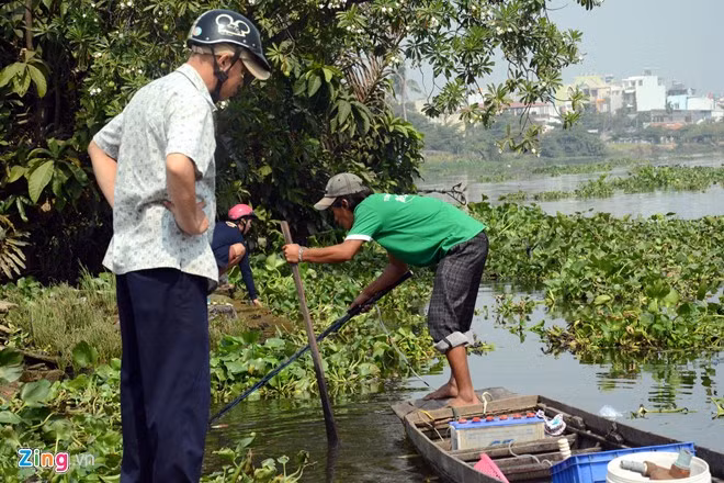 Bất lực nhìn cá chép bị chích điện khi vừa thả
