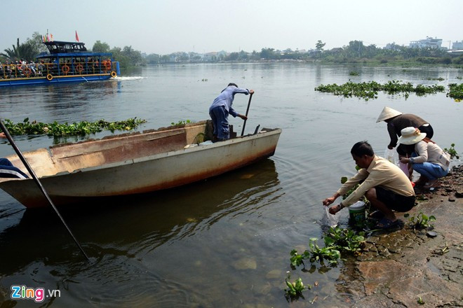 Bất lực nhìn cá chép bị chích điện khi vừa thả