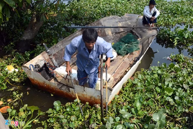 Bất lực nhìn cá chép bị chích điện khi vừa thả