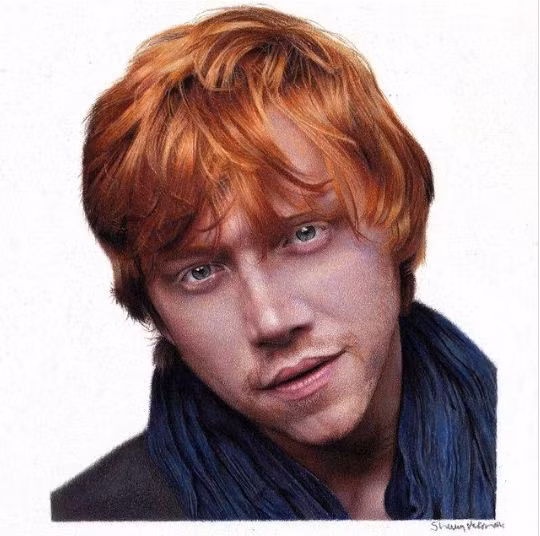 Kinh ngạc những bức tranh vẽ bằng bút chì giống hệt ảnh chụp ảnh 4