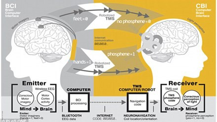 Các nhà nghiên cứu đã sử dụng thiết bị điện não EEG để ghi lại hoạt động điện do tế bào thần kinh trong não phóng ra, và để chuyển đổi các từ “hola” và “ciao” sang dạng mã nhị phân.