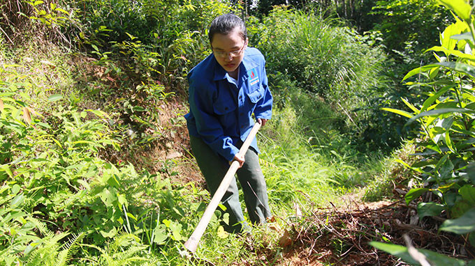 Nguyễn Thị Thủy nhổ cỏ thuê. Ảnh: Tiến Thắng