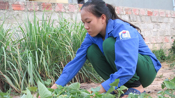 Nguyễn Thị Hải Lý chăm bón vườn. Ảnh: Lam Giang
