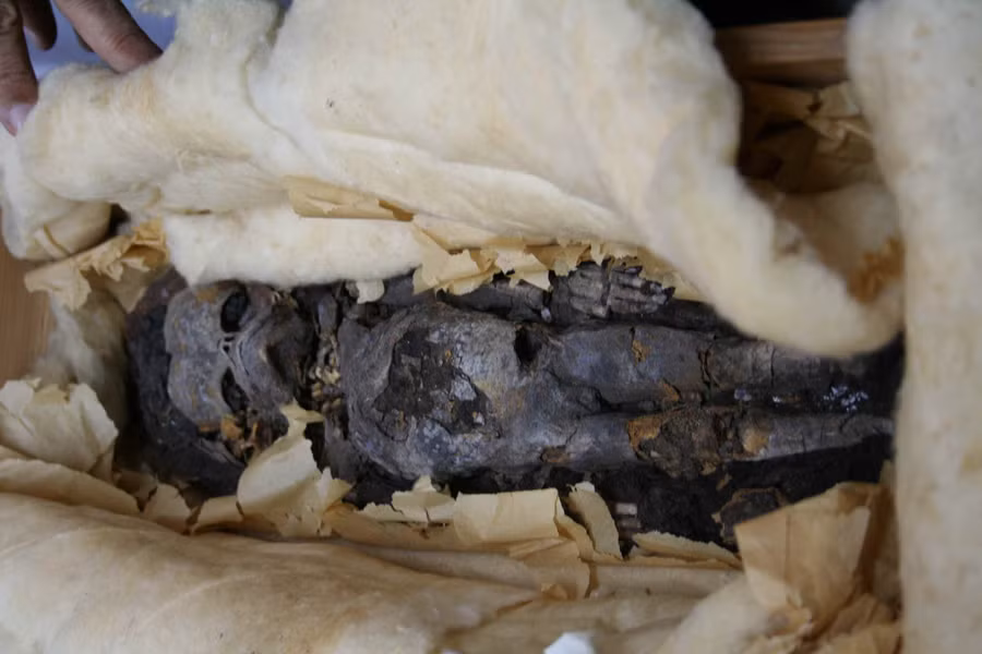 bi an kinh thien xac uop thai nhi trong lang mo tutankhamun hinh anh 7