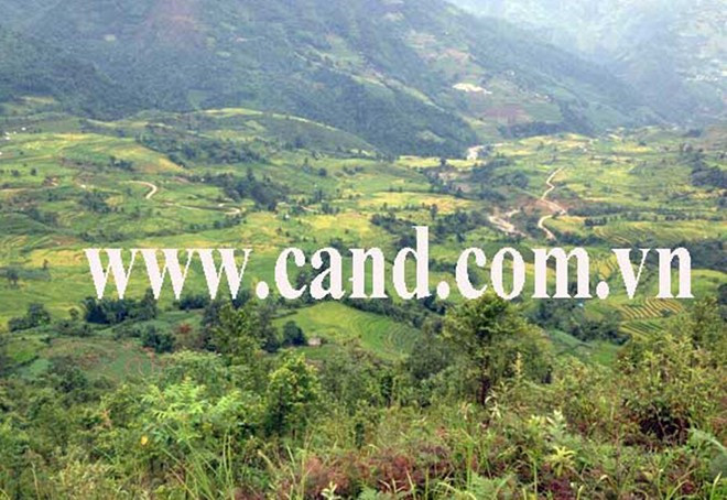 Khu vực trinh sát phát hiện Mờ. Khu vực nơi phát hiện nghi can Mờ. cán bộ Phòng PC45, Công an huyện Bát Xát truy