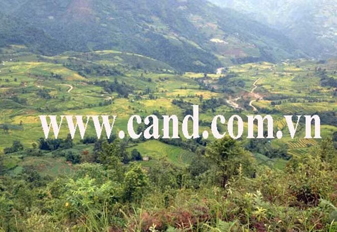 Khu vực trinh sát phát hiện Mờ. Khu vực nơi phát hiện nghi can Mờ. cán bộ Phòng PC45, Công an huyện Bát Xát truy