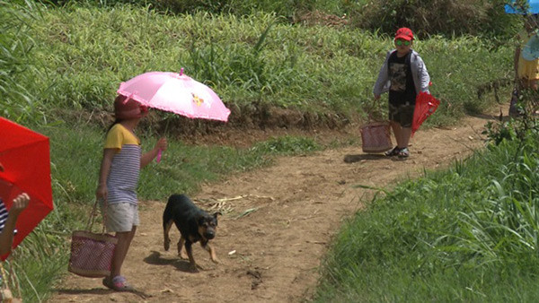 Tốt ti hóa anh hùng cứu mỹ nhân trong Bố ơi Mình đi đâu thế