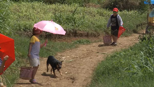 Tốt ti hóa anh hùng cứu mỹ nhân trong Bố ơi Mình đi đâu thế