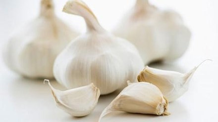 Tỏi rất có ích cho những người bị bệnh gan và những người muốn phòng bệnh gan.