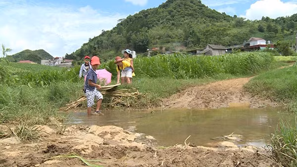 Tốt ti hóa anh hùng cứu mỹ nhân trong Bố ơi Mình đi đâu thế