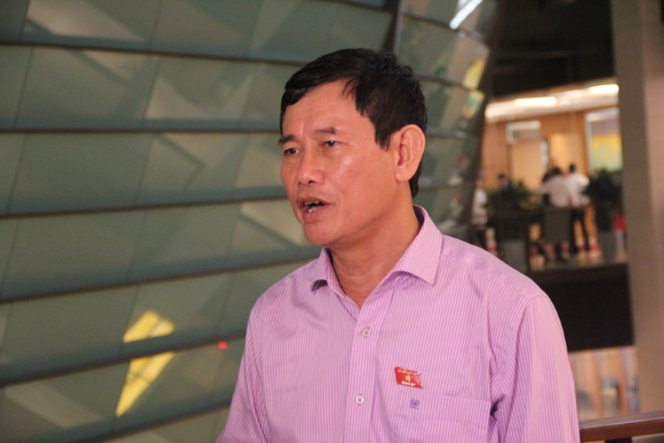 Đại biểu Quốc hội Nguyễn Ngọc Phương