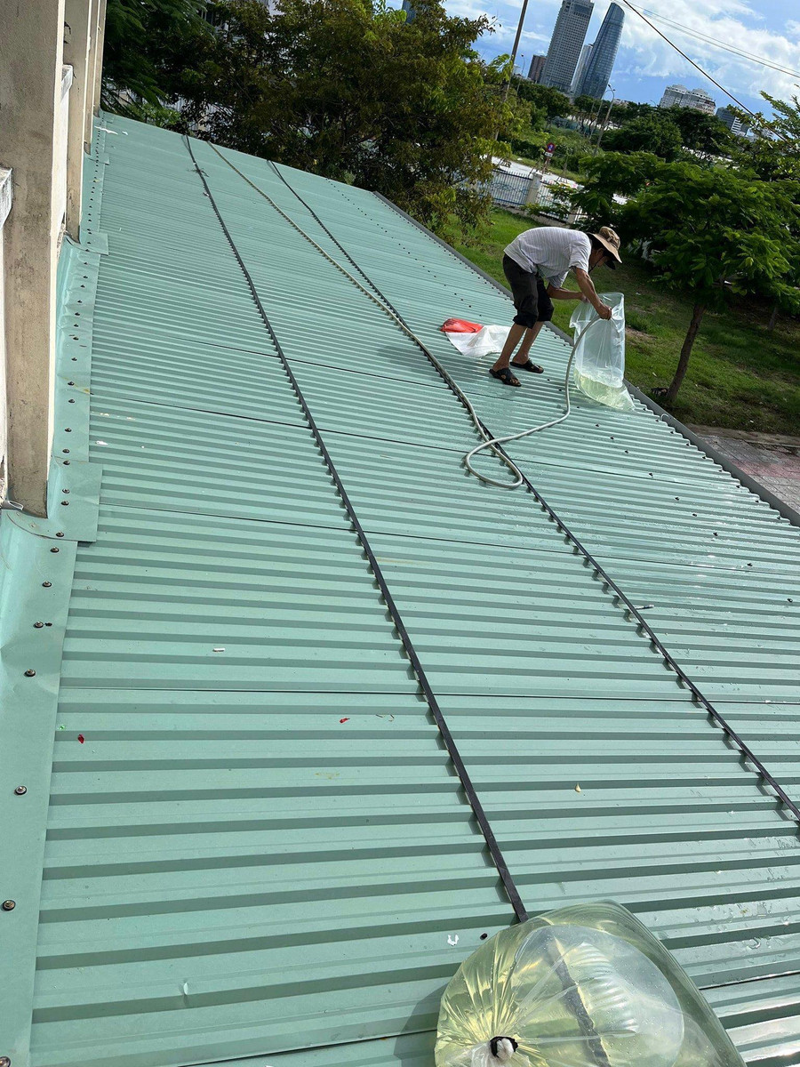 Trường Tiểu học Tô Vĩnh Diện (quận Sơn Trà, TP Đà Nẵng) cho nước vào túi nilon cỡ lớn để chằng chống mái tôn.