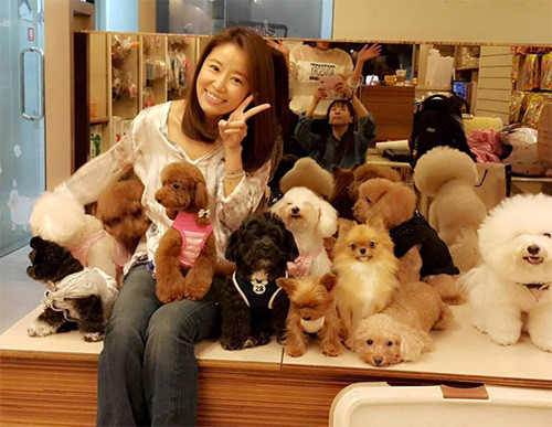 Triệu Vy lại bị chê vì ăn mặc lòe loẹt ảnh 10 Triệu Vy lại bị chê vì ăn mặc lòe loẹt - 10