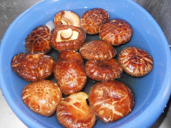 cà rốt, súp lơ, cải bó xôi, nấm đông cô cà rốt, súp lơ, cải bó xôi, nấm đông cô