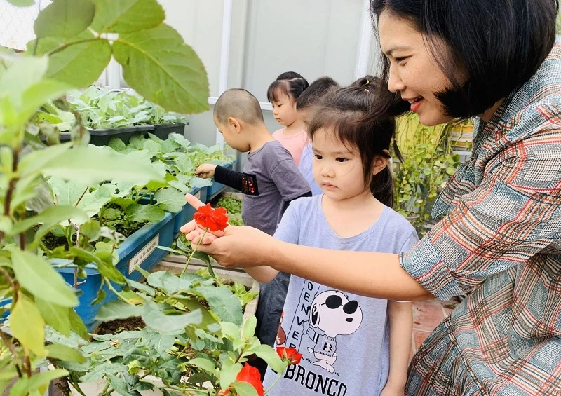 Cô trò Trường Mầm non Lý Thường Kiệt (quận Hoàn Kiếm) trải nghiệm không gian xanh trên tầng thượng. Ảnh: Việt Cường