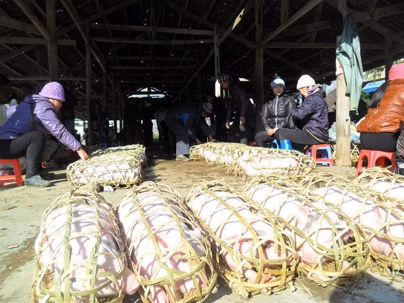 Một góc chợ xách lợn ở Cao Bằng.