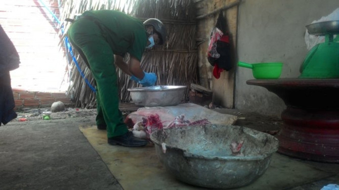 Rùng mình cách tiêm thuốc an thần vào heo trước khi giết mổ - Ảnh 2 Rùng mình cách tiêm thuốc an thần vào heo trước khi giết mổ - Ảnh 2