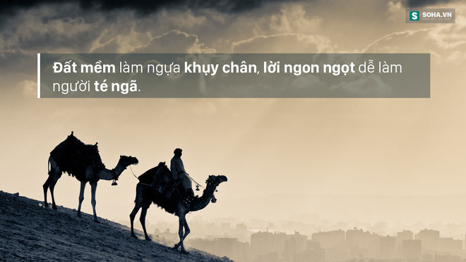 Trên đời có 3 thứ mà không ai có thể cướp đi của bạn! ảnh 8 Trên đời có 3 thứ mà không ai có thể cướp đi của bạn! ảnh 8