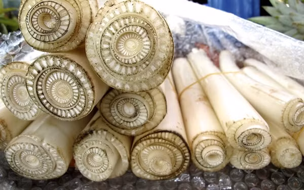 tác dụng của nước ép chuôí1