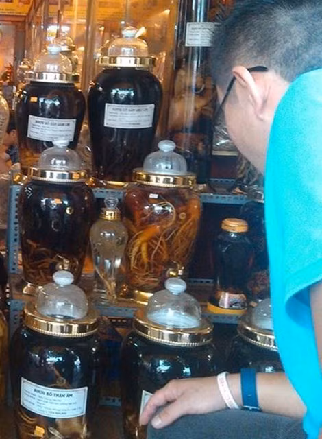 "Huyết lình" và cơn sốt siêu dược từ Mỹ Hầu Vương ảnh 2