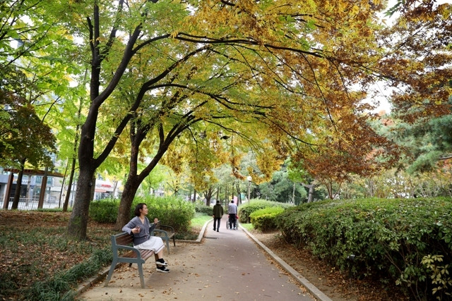 Một góc công viên.