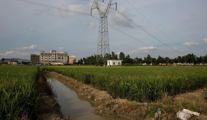 Một nhà máy tái chế nằm cạnh cánh đồng. Mùi nhựa đốt bao trùm thị trấn trong khi nước sông tại nhiều khu đen kịt vì ô nhiễm. 1