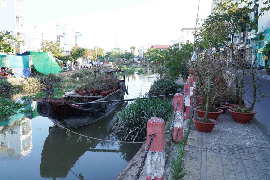 Người dân vận chuyển hoa bằng đường sông về bán tại TP Cần Thơ. Người dân vận chuyển hoa bằng đường sông về bán tại TP Cần Thơ.