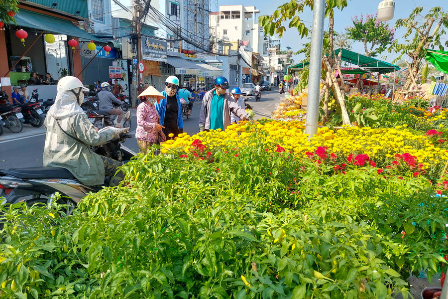Người dân bắt đầu xuống phố mua hoa Tết… Người dân bắt đầu xuống phố mua hoa Tết…