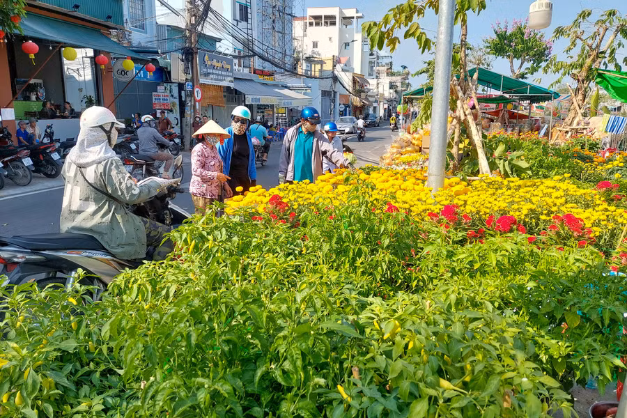 Người dân bắt đầu xuống phố mua hoa Tết…