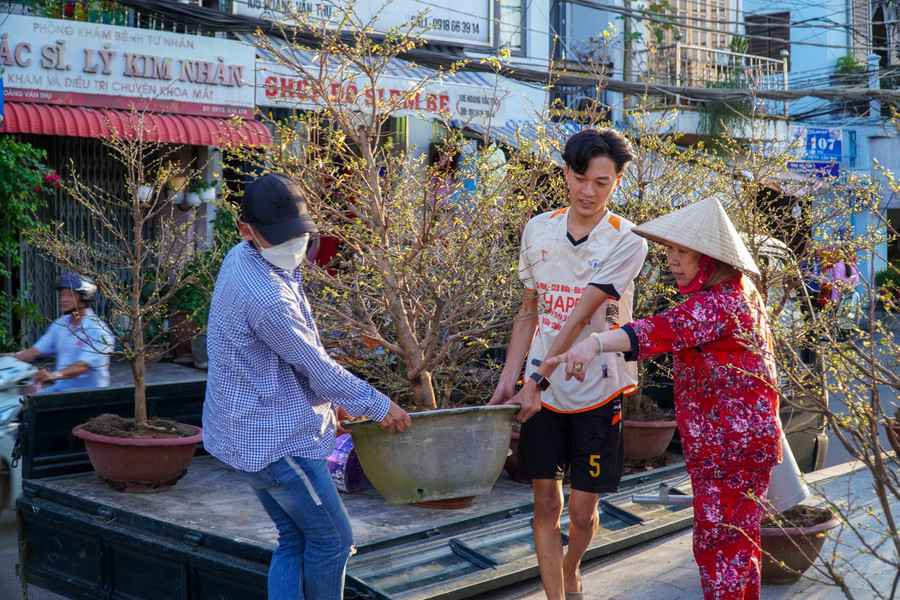 Hoa kiểng được tập kết chuẩn bị bày bán tại khu vực trung tâm TP Cần Thơ. Hoa kiểng được tập kết chuẩn bị bày bán tại khu vực trung tâm TP Cần Thơ.