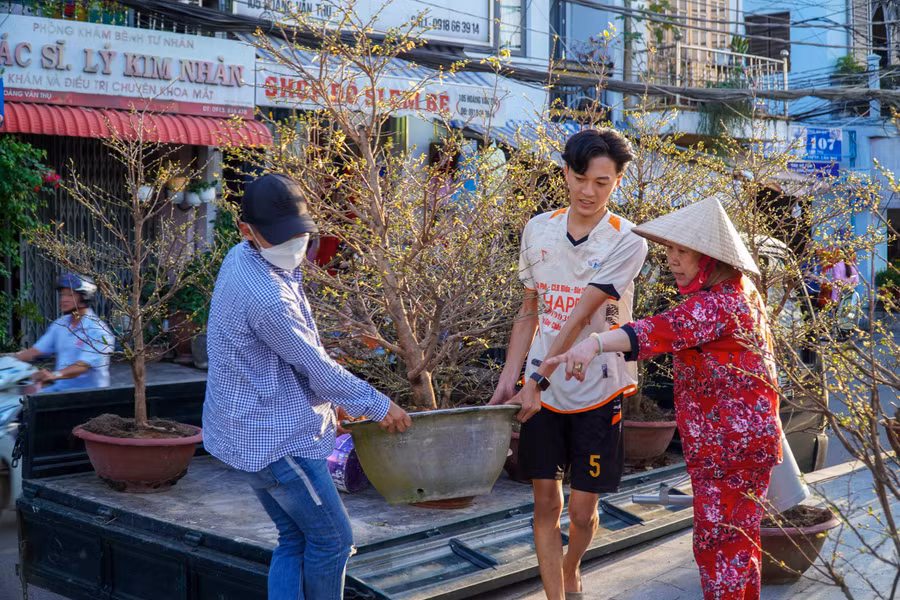 Hoa kiểng được tập kết chuẩn bị bày bán tại khu vực trung tâm TP Cần Thơ.