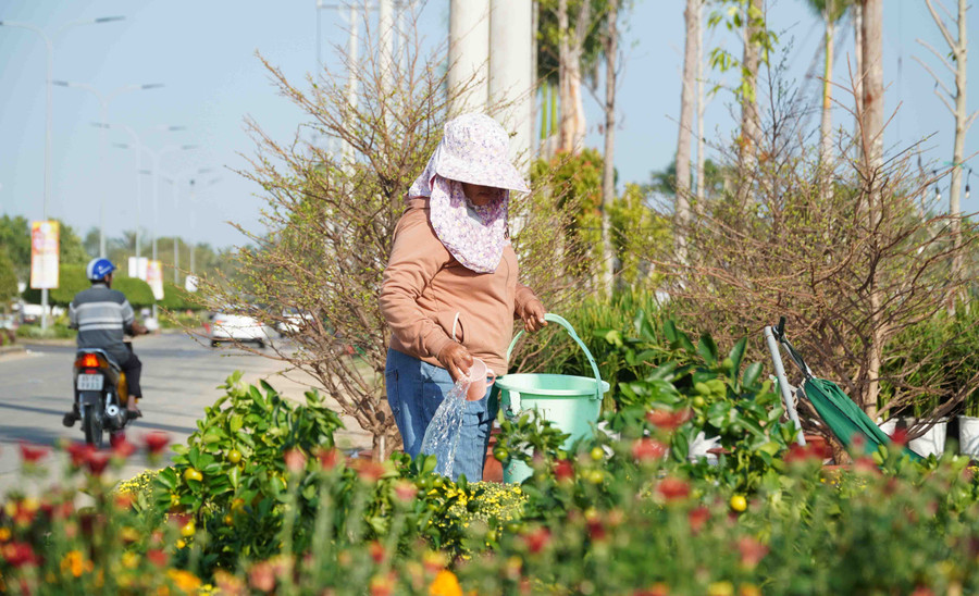 Tiểu thương tập kết về khu vực chợ hoa xuân, sẵn sàng phục vụ nhu cầu hoa trưng Tết của người dân. Tiểu thương tập kết về khu vực chợ hoa xuân, sẵn sàng phục vụ nhu cầu hoa trưng Tết của người dân.
