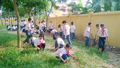 Ảnh minh họa/internet