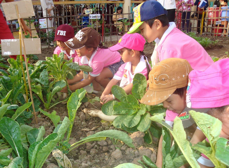 Lứa tuổi mầm non là giai đoạn quan trọng nhất trong sự phát triển.