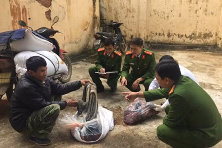 Lực lượng chức năng đang tiến hành kiểm tra số nội tạng bị bắt giữ.