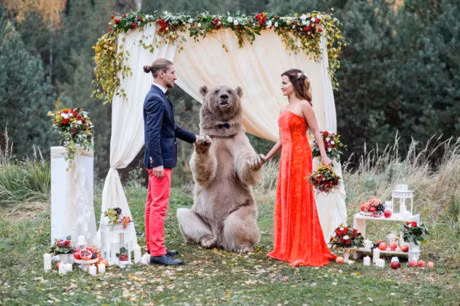 Bo anh nghe thuat chup voi gau that vua ron nguoi, vua dep nhu co tich - Anh 1