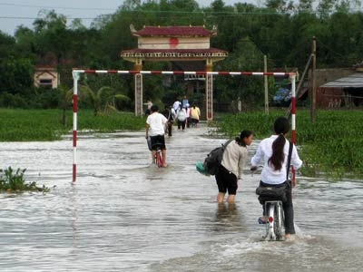 Ảnh minh họa