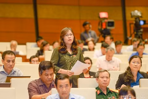 Đại biểu Quốc hội Ngô Thị Minh - Tỉnh Quảng Ninh. Ảnh: Quochoi.vn