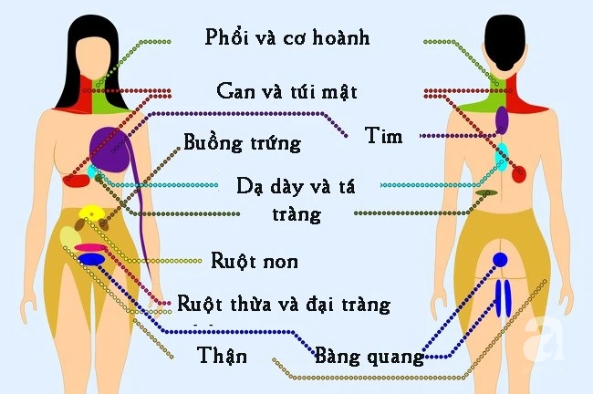 9 vị trí nếu thấy đau thì bạn nên cẩn trọng và đi khám càng sớm càng tốt