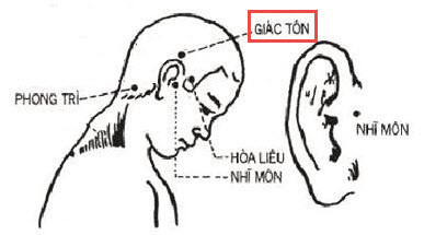 Làm sao biến tóc bạc thành đen? Chỉ cần ấn nhiều huyệt đạo này bạn sẽ cảm nhận được hiệu quả ngay sau 2 tuần! ảnh 2 Làm sao biến tóc bạc thành đen? Chỉ cần ấn nhiều huyệt đạo này bạn sẽ cảm nhận được hiệu quả ngay sau 2 tuần! ảnh 2