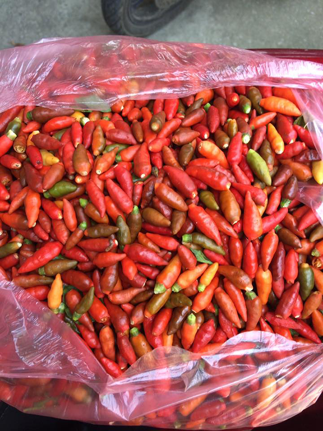 Bà mẹ hai con khoe cách làm tương ớt cực ngon ảnh 2