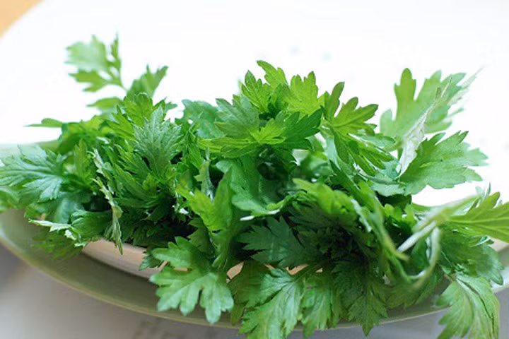 Loại cây có thể thay thế thuốc chữa được nhiều bệnh