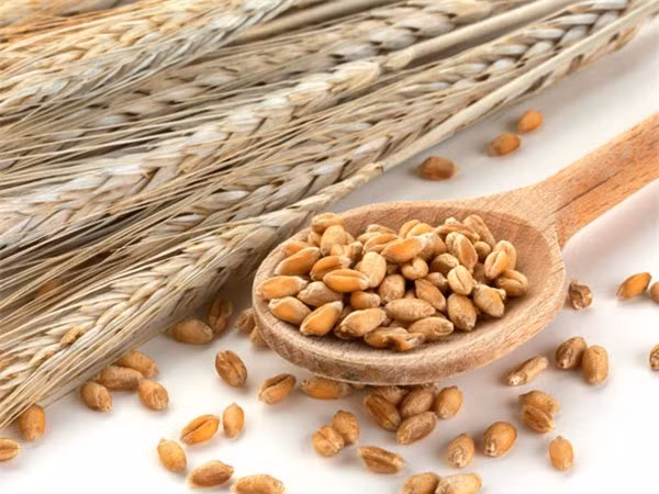 nguoi bi benh tieu duong nen an nhung thuc pham nay moi ngay hinh 3