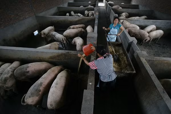 vi khuẩn kháng thuốc