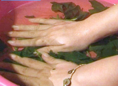 Ngâm tay và chân trong nước lá lốt trước khi đi ngủ để trị chứng ra mồ hôi