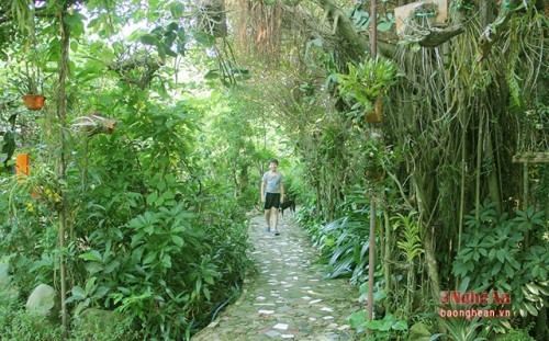 Cận cảnh biệt thự hình trái tim xây bằng sỏi 